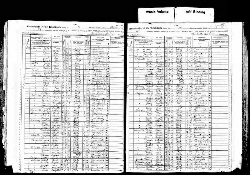 1905 NYS Census